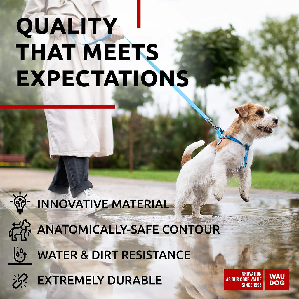 Blue Waterproof Adjustable Dog Harness