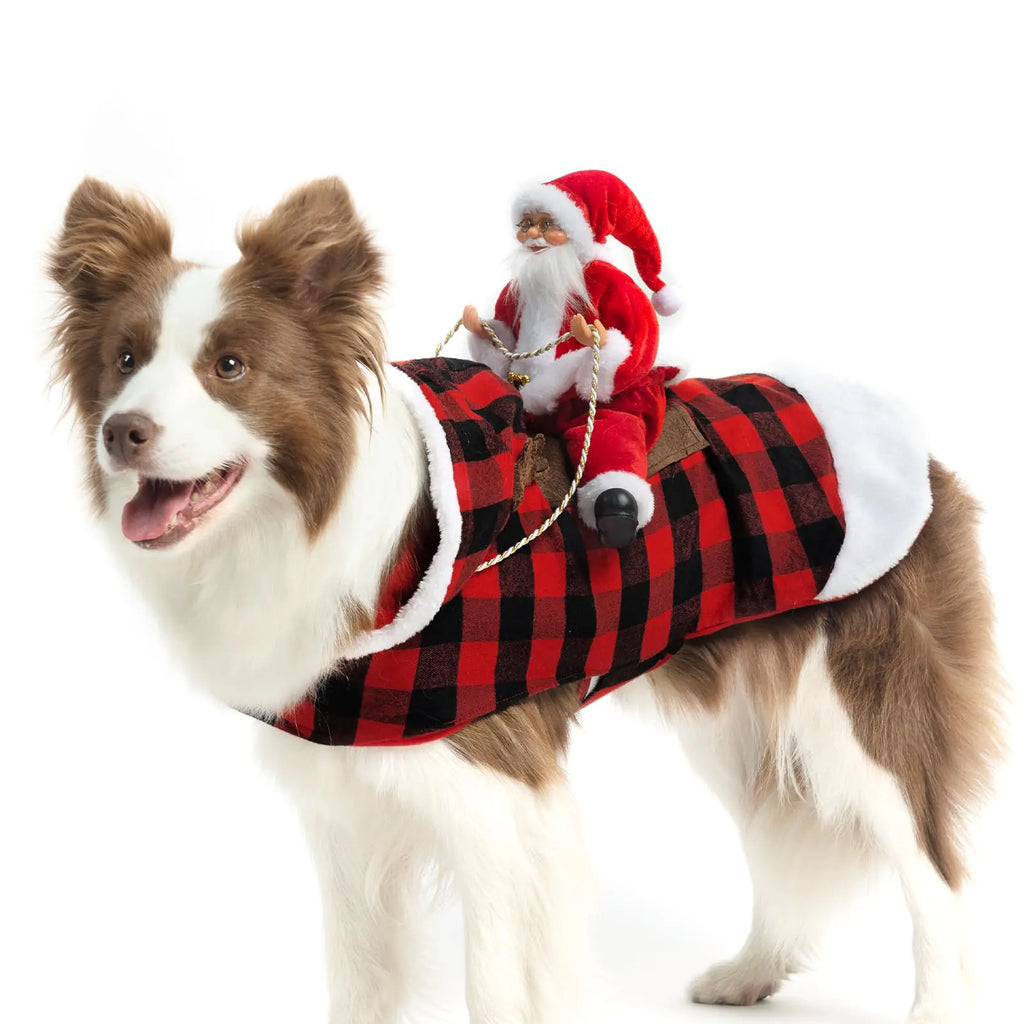 Santa Paws Festive Dog Costume XL
