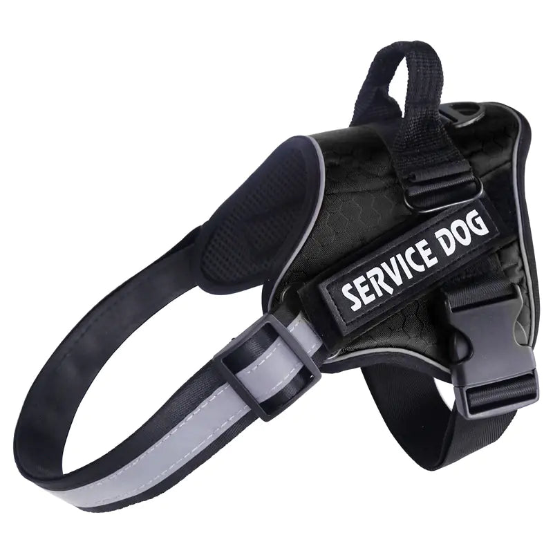 Secure Pet Walk Harness