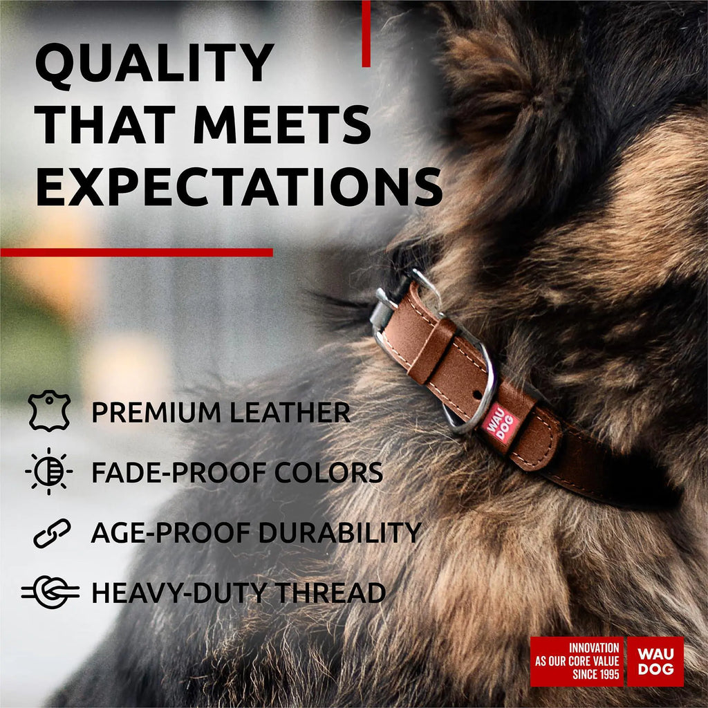 Durable Genuine Leather Dog Collar