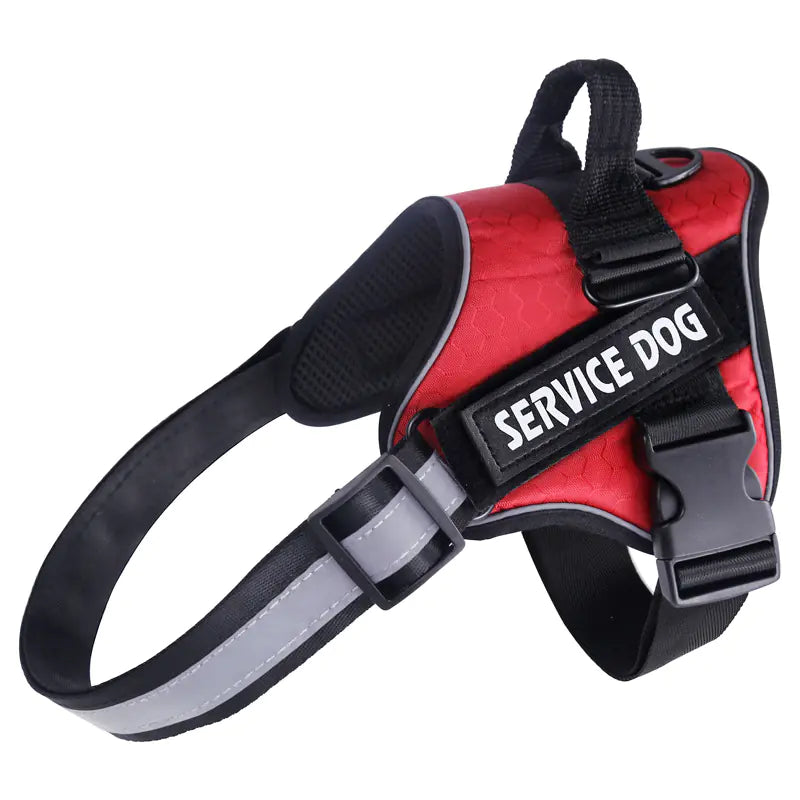 Secure Pet Walk Harness