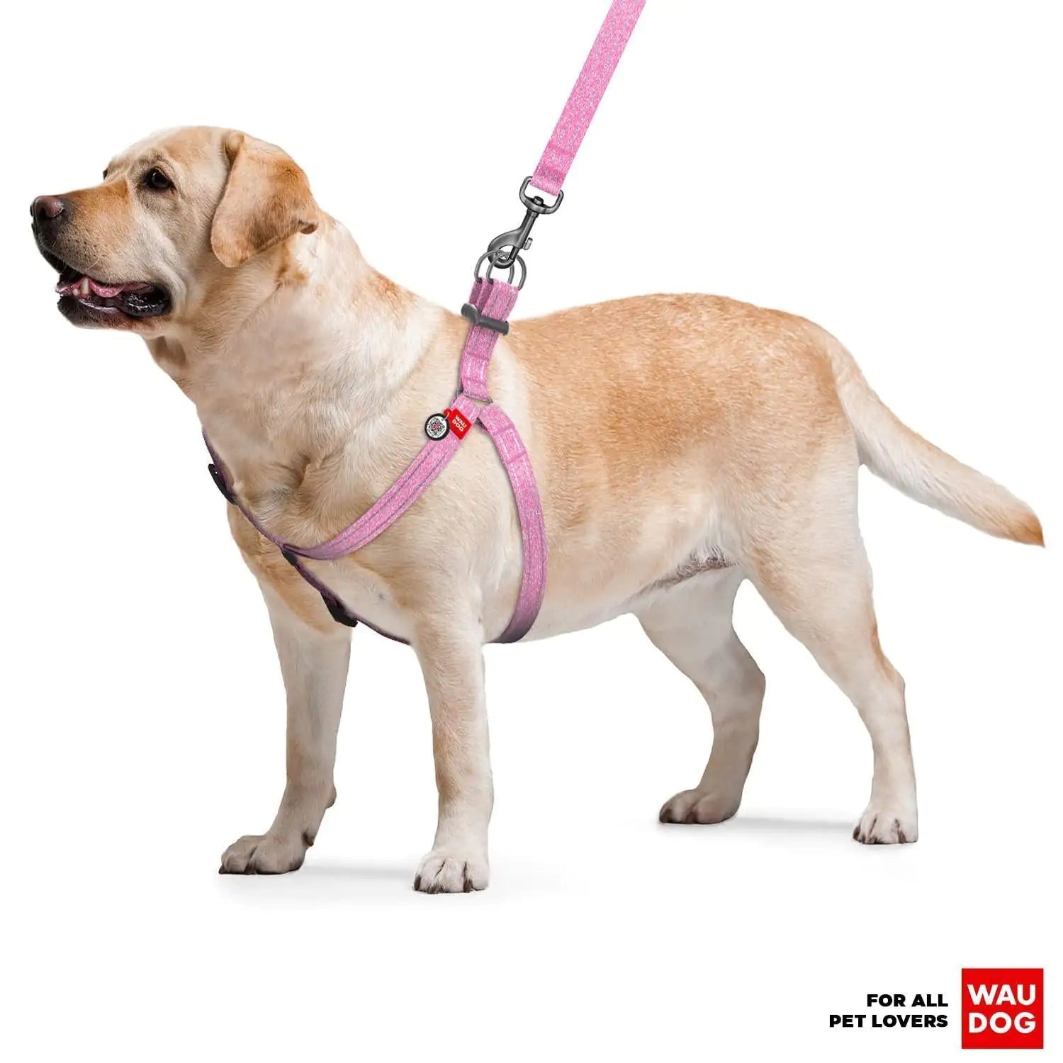 Medium Dog Harness