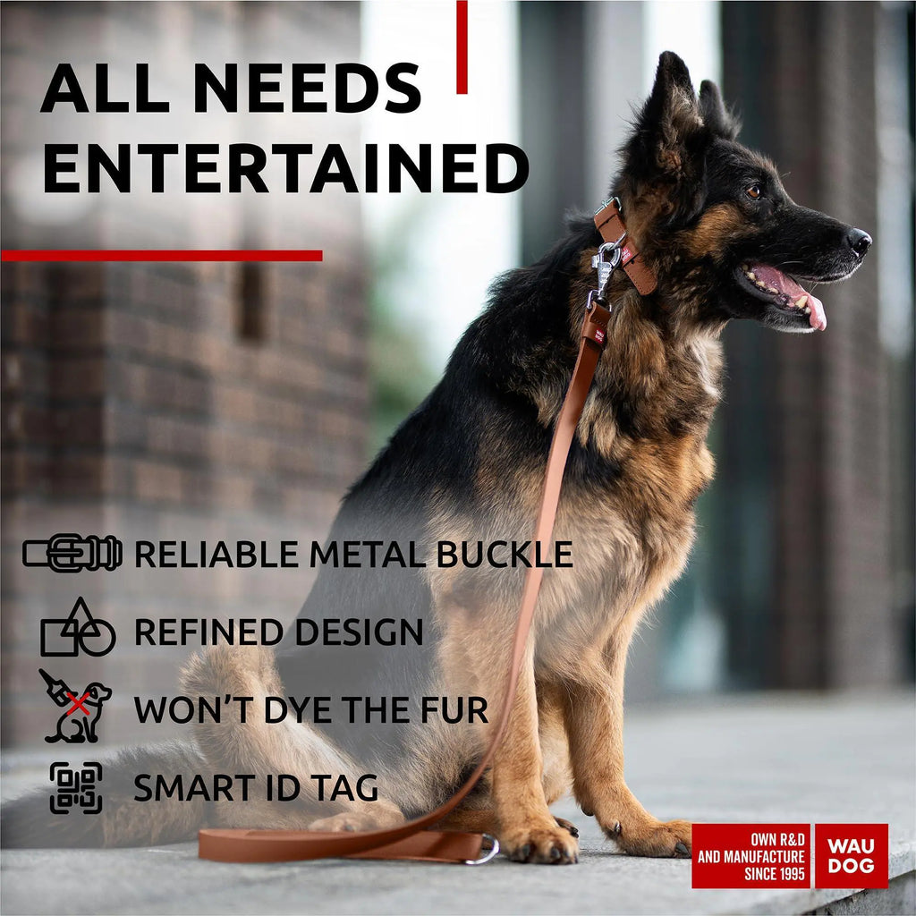 Durable Genuine Leather Dog Collar