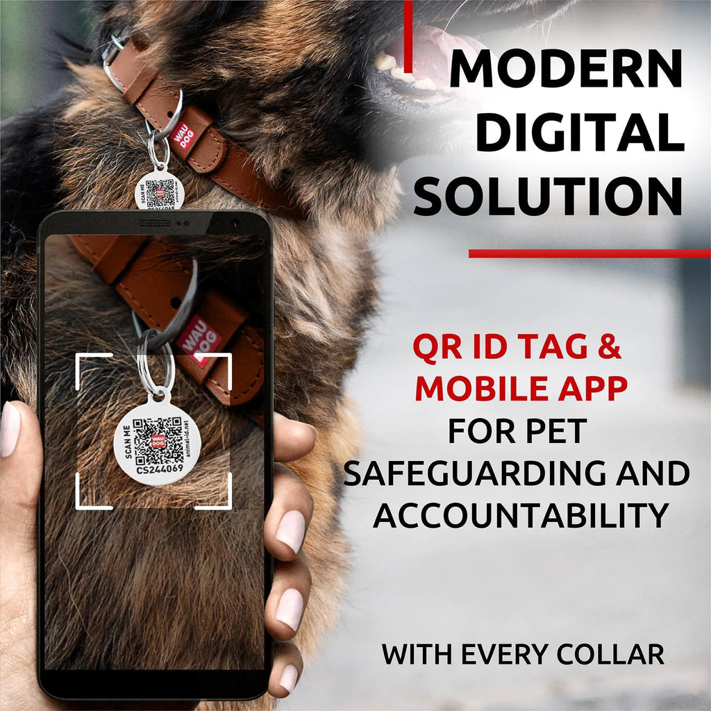 Durable Genuine Leather Dog Collar