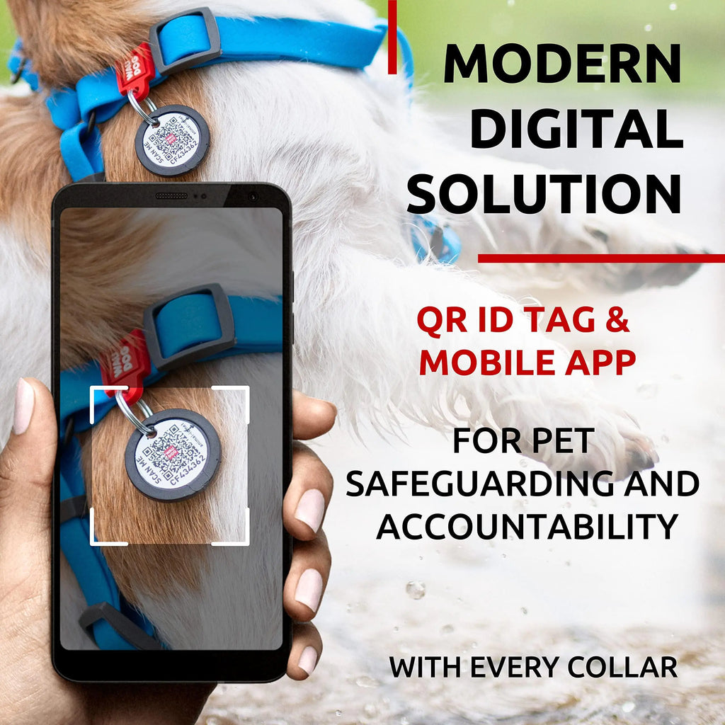 Blue Waterproof Adjustable Dog Harness