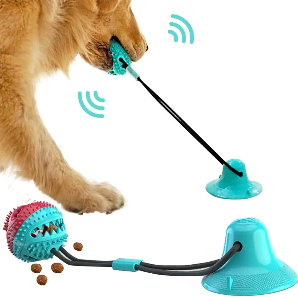 Chewable Suction Cup Dog Ball