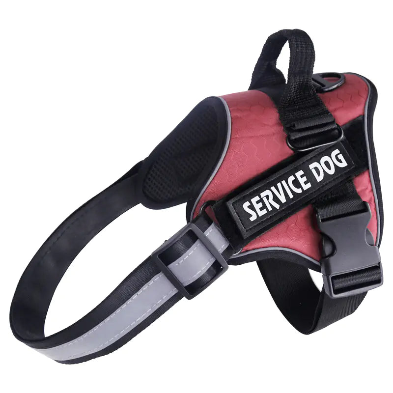 Secure Pet Walk Harness